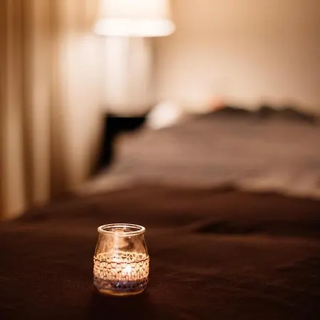 아시스 비아나 비지니스 앤드 스파 호텔 4*