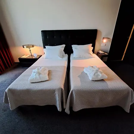 아시스 비아나 비지니스 앤드 스파